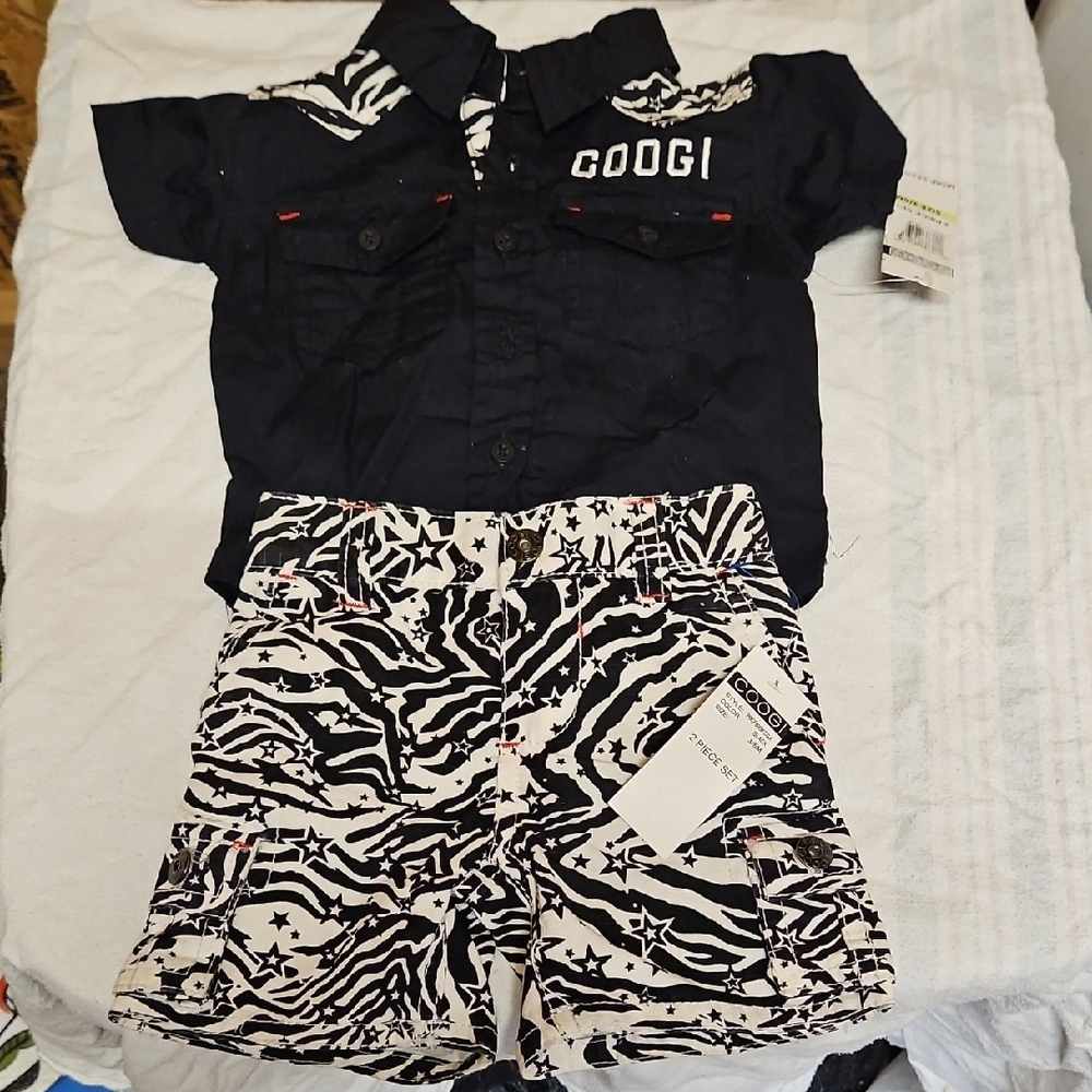 Coogi Australia Black Shirt and Zebra Print Shorts Set Boys Size 3-6 Months